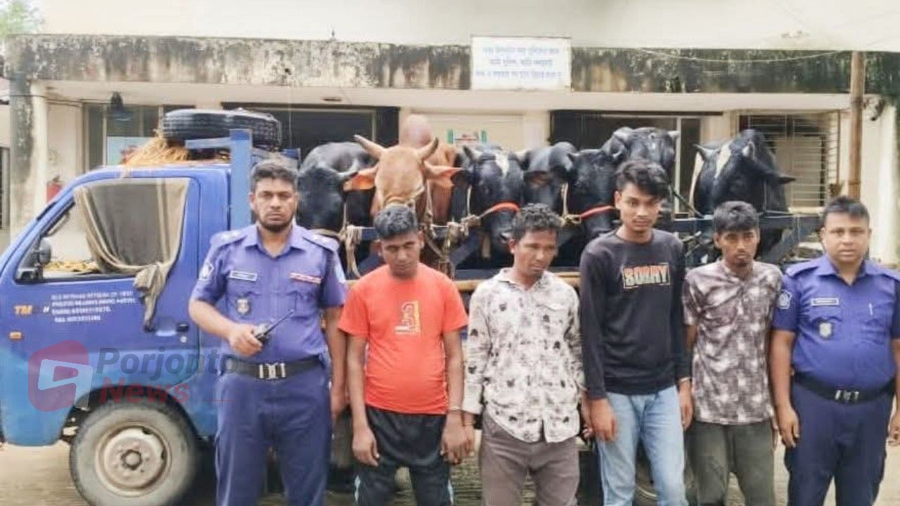 শিবপুরে ছিনতাই হওয়া ট্রাকসহ ৬টি গরু উদ্ধার, আটক ৪